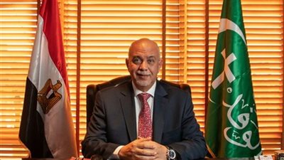 حازم الجندى: التوافق المصري الصيني حول أمن البحر الأحمر يدعم حق الدول النامية