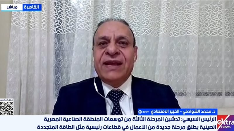 الدكتور محمد الشوادفي