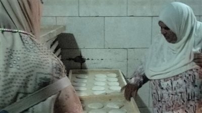 ضبط 20 طن مواد غذائية مجمدة منتهية الصلاحية و12 شيكارة دقيق مدعم بالمنوفية