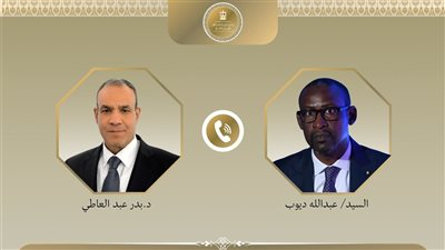 وزيرا خارجية مصر ومالي يبحثان سبل تحقيق الأمن والاستقرار في إفريقيا 