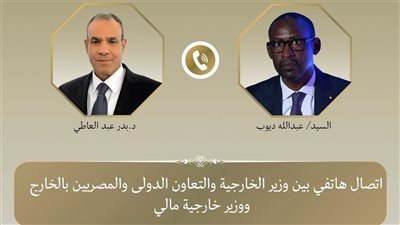 وزير الخارجية يبحث مع نظيره المالي تعزيز العلاقات ومكافحة الإرهاب في الساحل
