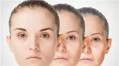 من البحر إلى الدماغ.. مركبات غذائية تعزز الذاكرة وتقلل الالتهاب لدى الفئران