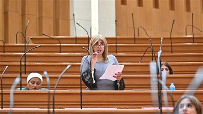 النائبة أميرة فؤاد: التوسع في بطاقة الخدمات المتكاملة يدعم حقوق ذوي الهمم