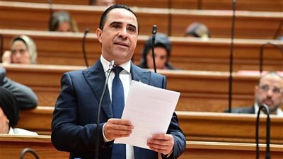 النائب مصطفى البهي: تحليل الواردات يجب أن يتحول إلى خريطة استثمارية للمصنعين