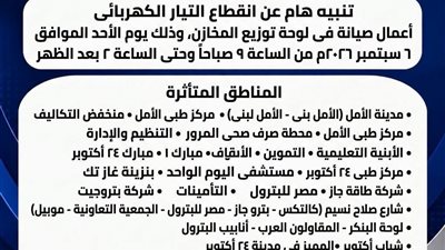 غدًا.. صيانة في لوحة توزيع المخازن وقطع الكهرباء عن مناطق ومنشآت بالسويس