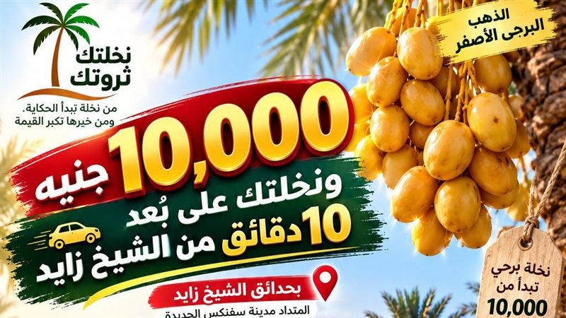«أفرولاند» تطلق «نخلتك