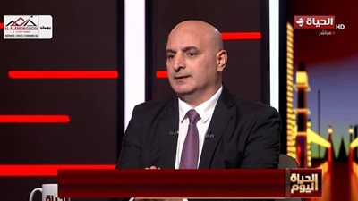 أحمد سيد أحمد: السياسة الخارجية المصرية تقوم على التوازن الاستراتيجي
