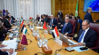 عبد العاطي: القدس أرض فلسطينية محتلة.. ونرفض أي مخططات لتهجير الفلسطينين