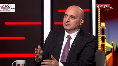 خبيرعلاقات دولية: مصر شكلت صمام أمان للقضية الفلسطينية في مواجهة مخطط التهجير