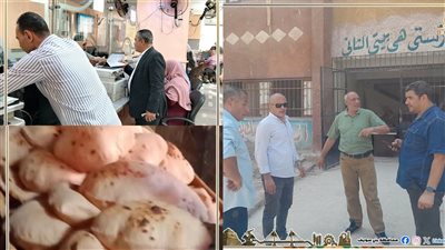 ضبط سجائر مجهولة المصدر ولحوم ودواجن منتهية الصلاحية بمركز ببا ببنى سويف |صور