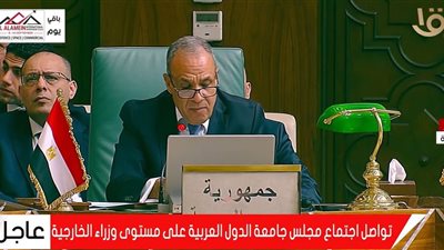 بدر عبد العاطي: لا دولة عربية تستطيع مواجهة التهديدات بمفردها