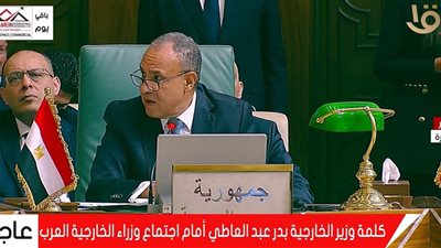 بدر عبد العاطي: القضية الفلسطينية جوهر الأمن والاستقرار في المنطقة