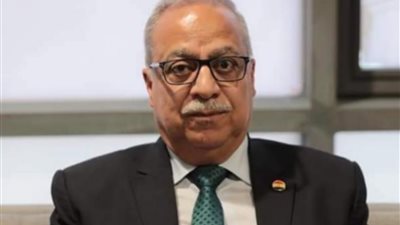 برلماني: قيمة المعاشات تراجعت من 400 إلى 160 دولارًا