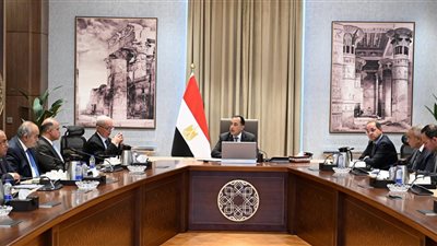 رئيس الوزراء يتابع مستجدات إعادة هيكلة وتطوير وحوكمة الشركات المملوكة للدولة  