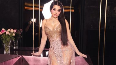 بعد النجاح الجماهيري في قرطاج.. هيفاء وهبي تحيي حفل زفاف نجل جوليا بطرس 