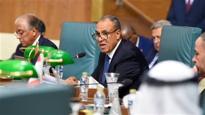 نص كلمة وزير الخارجية خلال أعمال الدورة 166 لمجلس الجامعة العربية على المستوى الوزاري بالقاهرة