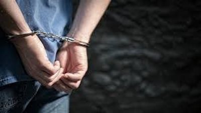 اصطدم بسيدة وتعدى على المواطنين.. كشف ملابسات فيديو متداول بالدقهلية