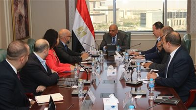 وزير الكهرباء يبحث مع وفد البنك الآسيوى للاستثمار تعزيز التعاون في الطاقة