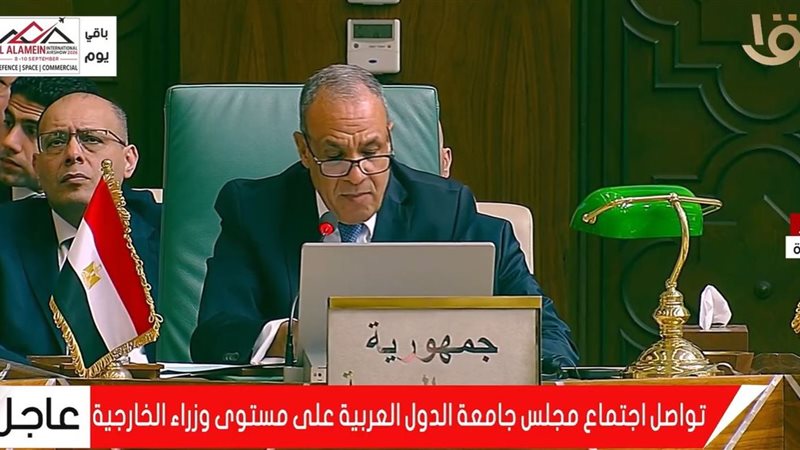 الدكتور بدر عبد العاطي