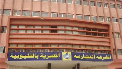 الفيومي: جذب الاستثمار الأجنبي لخلق قيمة مضافة وزيادة الإنتاج