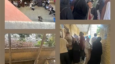 أمهات في الطوابير تحت الشمس.. رحلة شاقة لنقل الطلاب بمدارس شمال الجيزة
