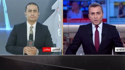260 شركة و100 وفد رسمي في معرض العلمين للطيران والفضاء