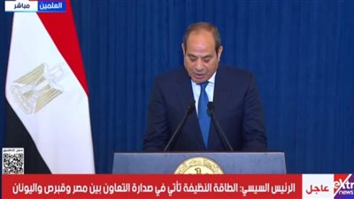 السيسي: نحرص على تطوير الاستثمارات وتعزيز الشراكة الاستراتيجية