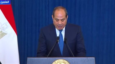 السيسي: السلام الشامل لن يتحقق إلا بإقامة الدولة الفلسطينية المستقلة