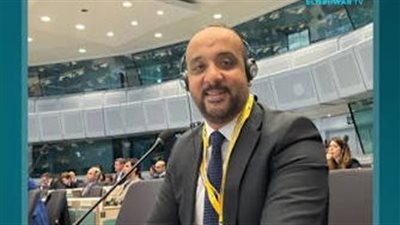 أحمد حمدي: القضية الفلسطينية كانت حاضرة بقوة في القمة الثلاثية بالعلمين