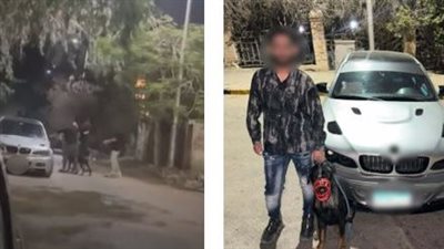 ضبط عامل بعد تداول فيديو لواقعة بلطجة باستخدام كلب وسلاح أبيض بالجيزة 