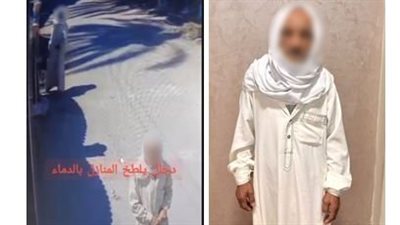 كشف حقيقة فيديو «رش الدماء» على منزل بالبحيرة.. وضبط شخص يعاني اضطرابا نفسيا