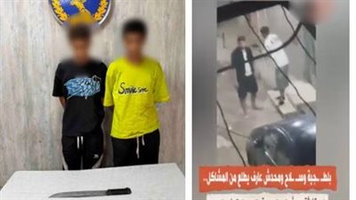 الداخلية تكشف ملابسات فيديو مشاجرة وسلاح أبيض بالجيزة وتضبط المتهمين