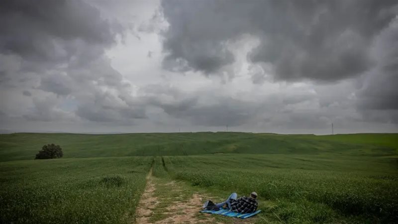 أرشيفية 