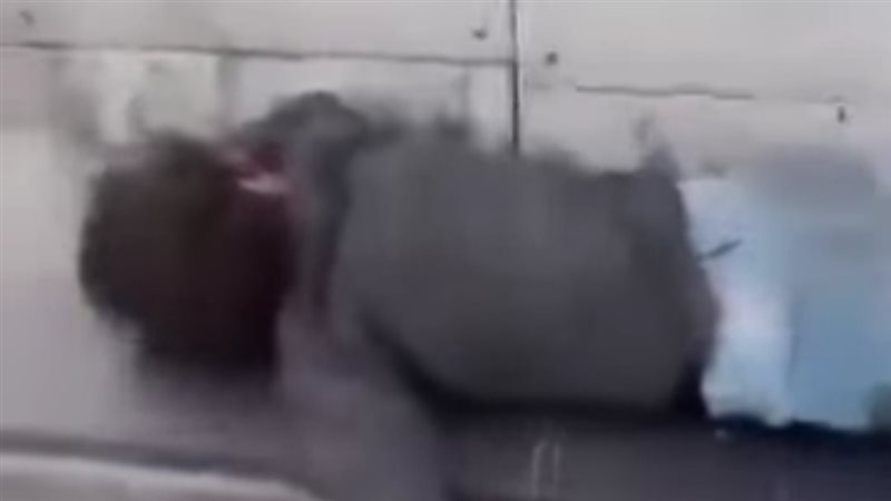 طفلة الألف مسكن 