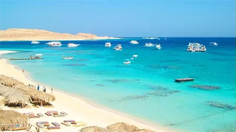 مجموعة «ترافكو» المصرية