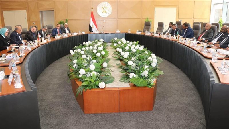 وزير الكهرباء 