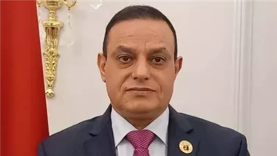 النائب مختار همام: تعزيز الاقتصاد الحقيقي يبدأ بدعم الصناعة وتعميق التصنيع المحلي