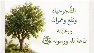 الأزهر للفتوى: اغرسها ولا تقطعها.. الشجر حياة ونفع وعمران