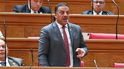 فيصل أبو عريضة: كلمة السيسي في قمة بريكس خارطة طريق لتعزيز الاقتصاد المصري