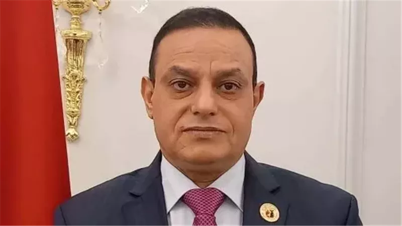  النائب مختار همام