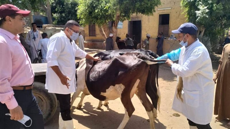 وزارة الزراعة واستصلاح