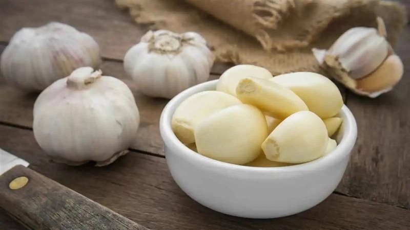 الثوم 