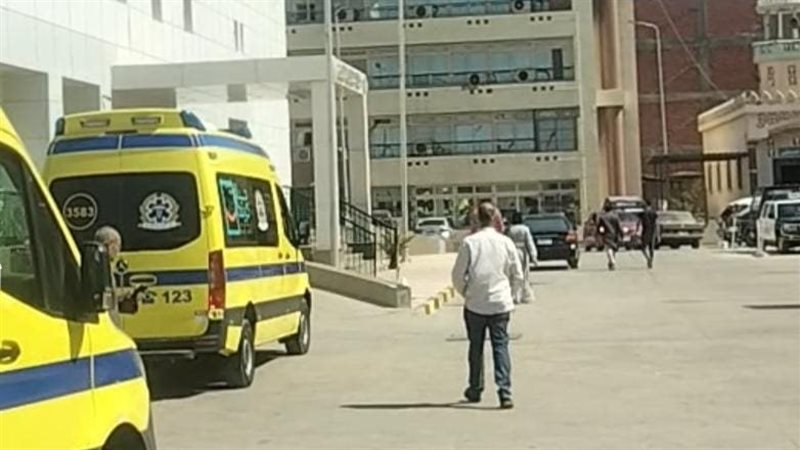 مدرسة الباجور 