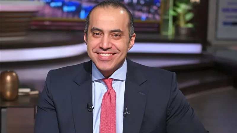 المستشار محمود فوزي