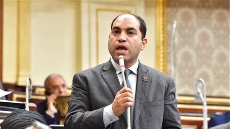 عمرو درويش نائب التنسيقية