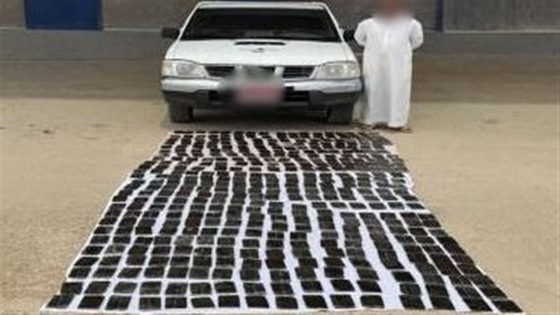 المضبوطات