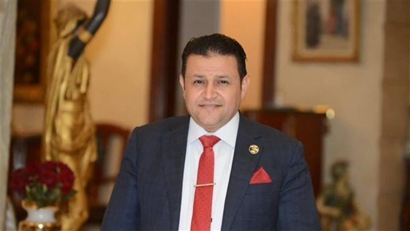 النائب شحاتة أبو