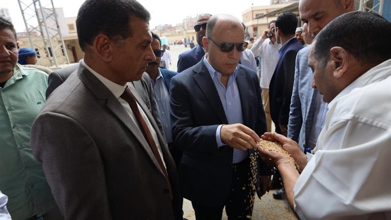 ارشيفية