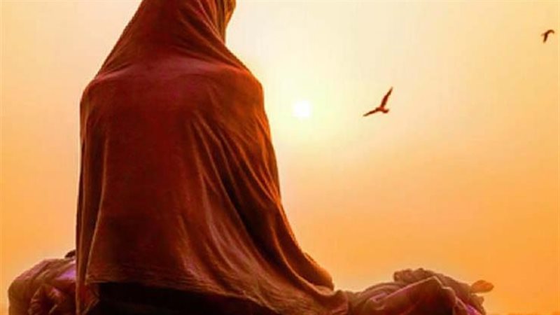 صفية بنت عبد المطلب