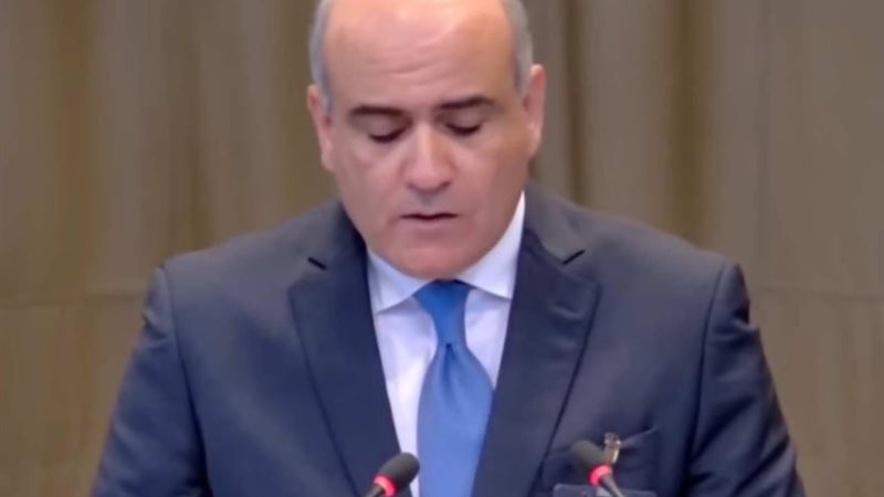 مندوب مصر أمام محكمة